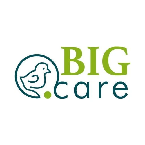 Logo BIG-care