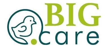 BIGCARE